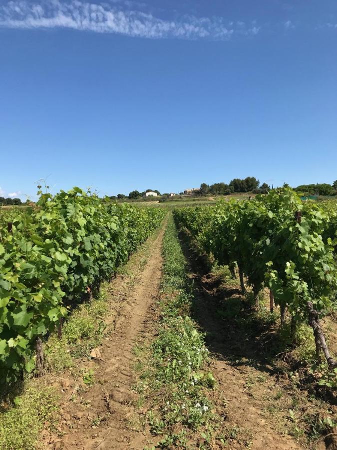 Domaine de Peilhan Roujan Exterior foto