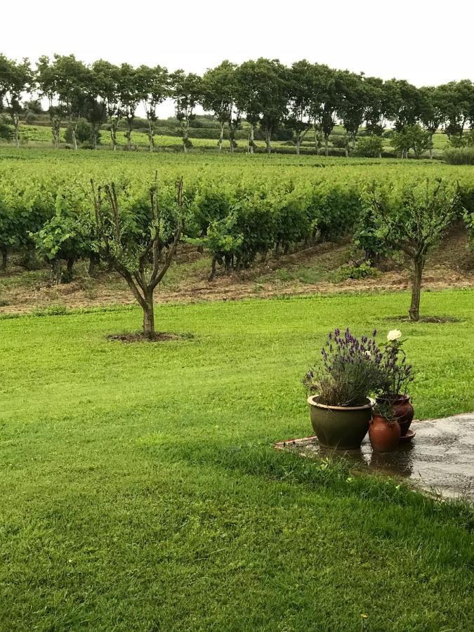 Domaine de Peilhan Roujan Exterior foto