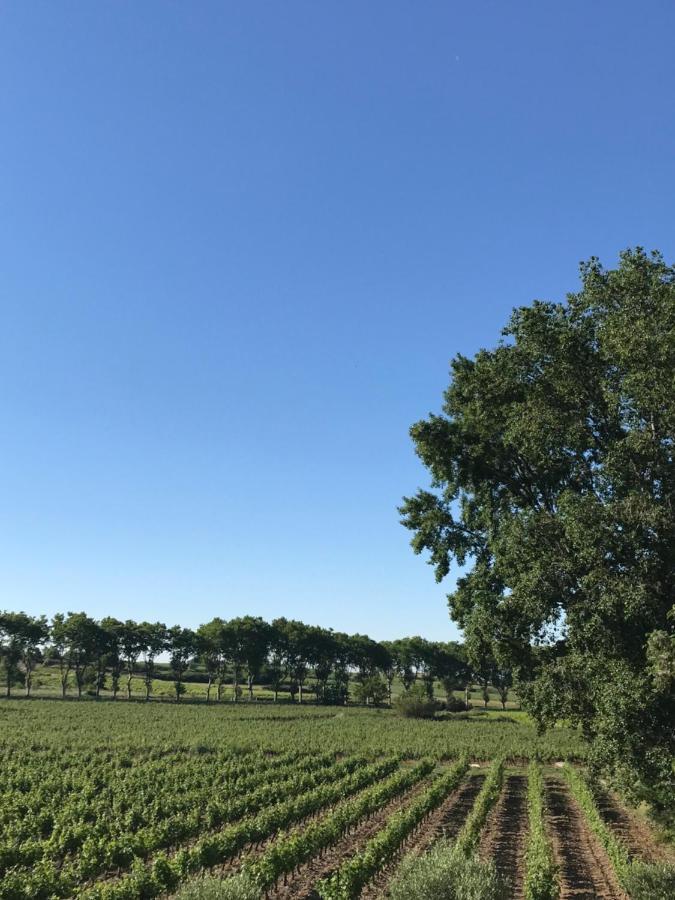 Domaine de Peilhan Roujan Exterior foto