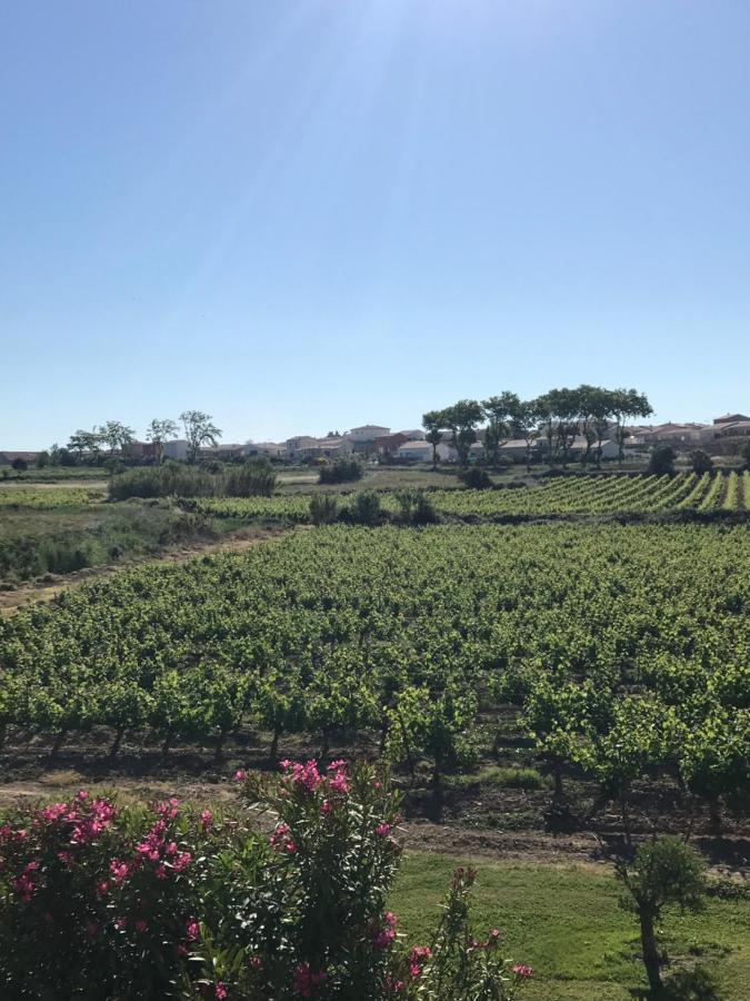 Domaine de Peilhan Roujan Exterior foto